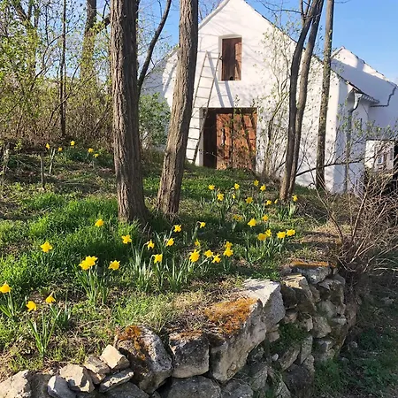 Dasfritsch-historisches Weinbauernhaus Im Grünen