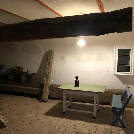 Dasfritsch-historisches Weinbauernhaus Im Gruenen Tatil Evi *