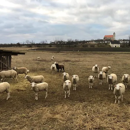 Tatil Evi Dasfritsch-historisches Weinbauernhaus Im Gruenen
