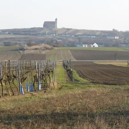 Dasfritsch-historisches Weinbauernhaus Im Gruenen * Klein-Reinprechtsdorf