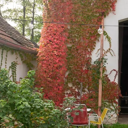 Ferienhaus Dasfritsch-historisches Weinbauernhaus Im Grünen *