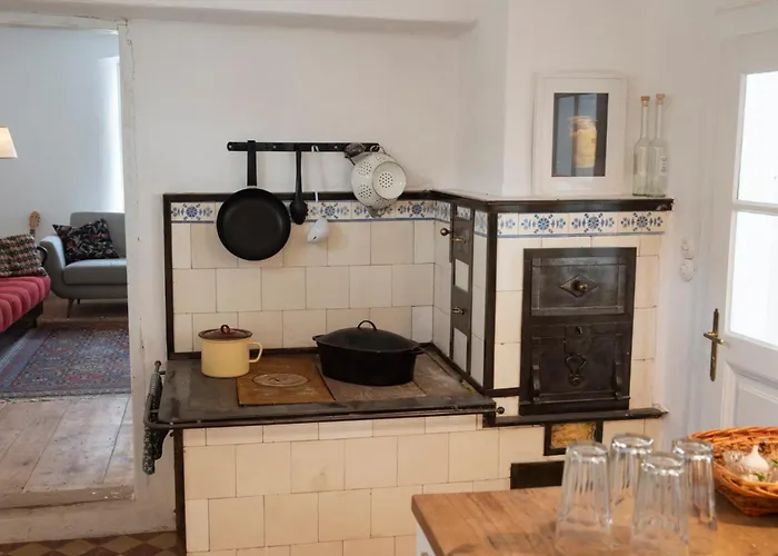 Tatil Evi Dasfritsch-historisches Weinbauernhaus Im Gruenen Klein-Reinprechtsdorf