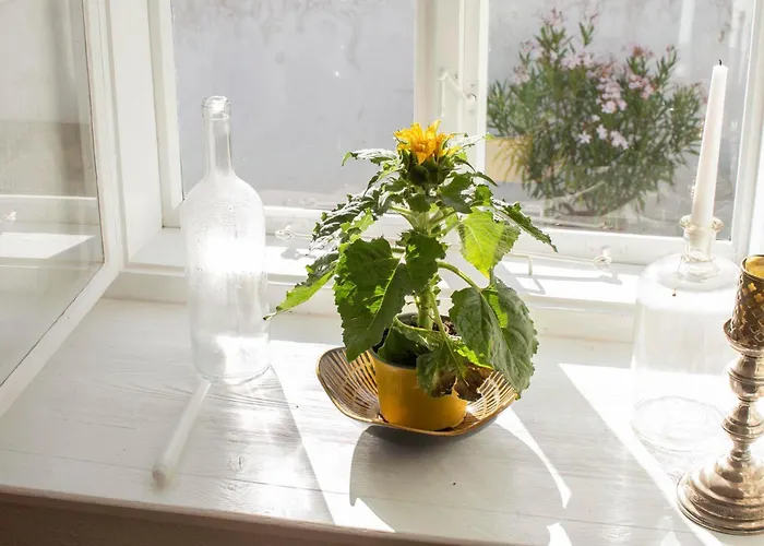 Dasfritsch-historisches Weinbauernhaus Im Gruenen Tatil Evi *