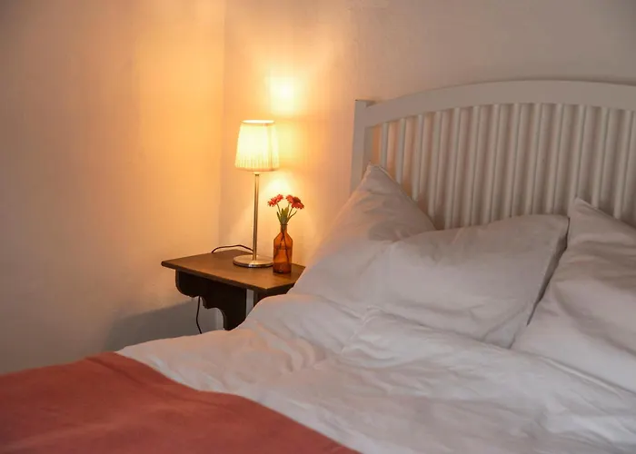 Tatil Evi Dasfritsch-historisches Weinbauernhaus Im Gruenen Klein-Reinprechtsdorf