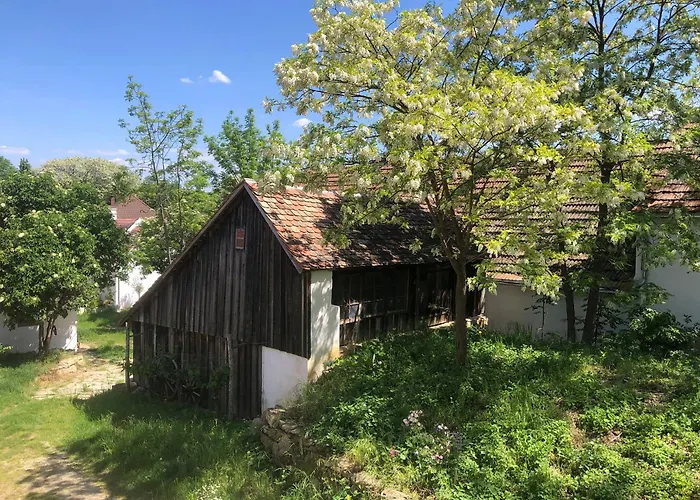 Tatil Evi Dasfritsch-historisches Weinbauernhaus Im Gruenen