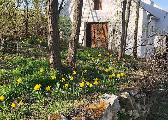 Dasfritsch-historisches Weinbauernhaus Im Gruenen