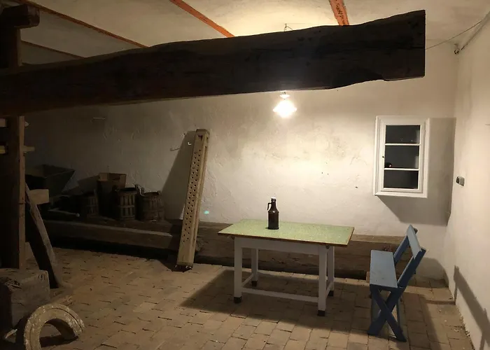 Dasfritsch-historisches Weinbauernhaus Im Gruenen Tatil Evi *