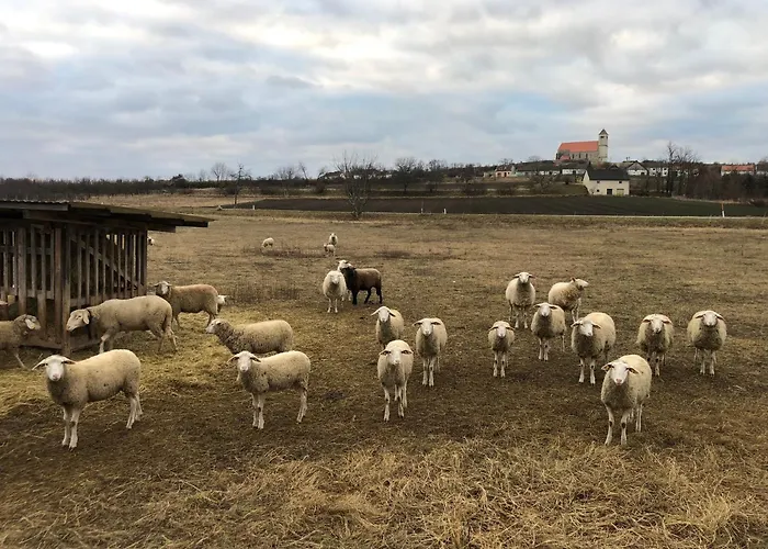 Tatil Evi Dasfritsch-historisches Weinbauernhaus Im Gruenen