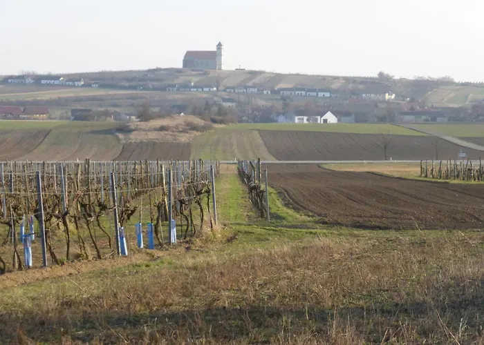 Dasfritsch-historisches Weinbauernhaus Im Gruenen * Klein-Reinprechtsdorf