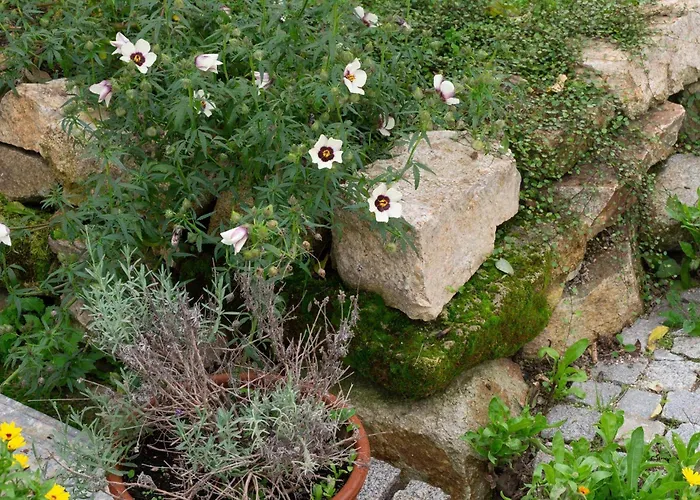Dasfritsch-historisches Weinbauernhaus Im Gruenen Klein-Reinprechtsdorf