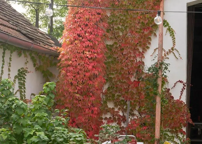 Tatil Evi Dasfritsch-historisches Weinbauernhaus Im Gruenen *